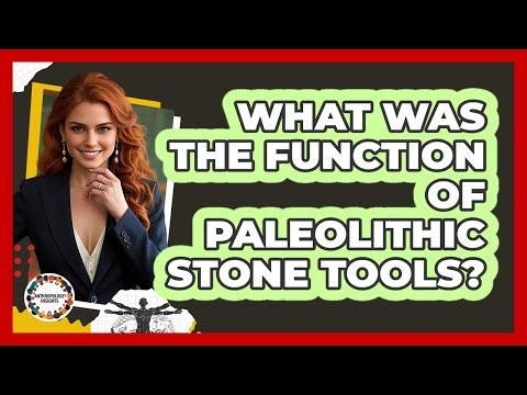 What Was The Function Of Paleolithic Stone Tools? - Anthropology Insights