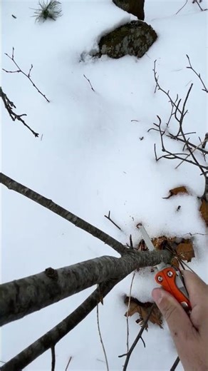 Leatherman g10 charge + | Saw demonstration #shorts