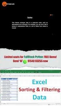 How to Sort and Filter Data in Excel | Sorting and Filtering | Python Life
