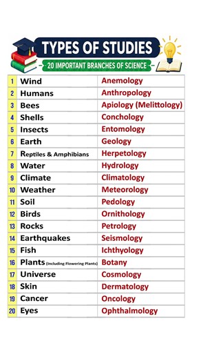🎓 Top 20 Branches of Science You Should Never Forget | Updated 2026