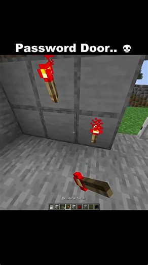 Mine craft Password door