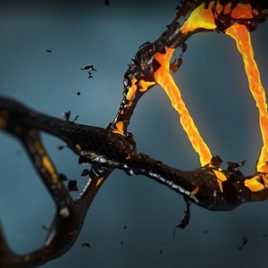 Cause of Gender Differences in Neurodevelopmental Disorders is ID'ed | Genetics And Genomics