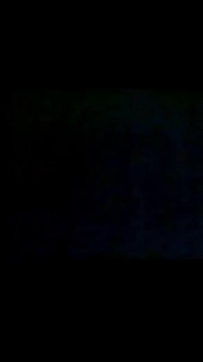 7K views · 357 reactions | 1976 | Historical Pictures | Facebook