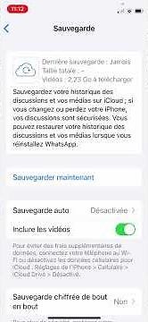Sauvegarder les discussions WhatsApp sur iPhone (avec ou sans iCloud) #iphone #whatsapp #ios18 #ios