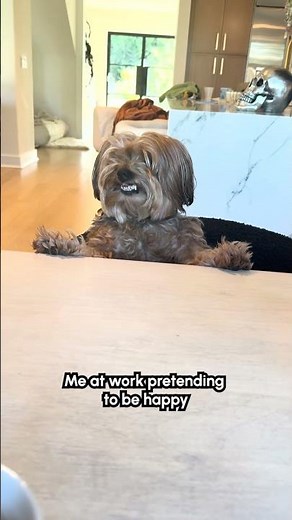 Dog Smiles When Asked