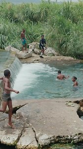 Before hurricane Beryl there’s pleasure in the wonders of Mother Nature. 🌳📌St. Thomas Parish @3rdgencruiser• | Little Jamaica Caribbean kitchen