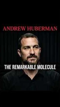 Is Creatine Actually Safe? 💊 #AndrewHuberman #MuscleGrowth