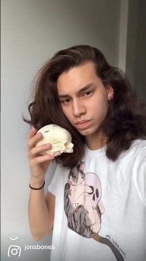 Showing the stages of skull growth