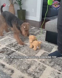 153K views · 109 reactions | Each wanna have the last word | HomeChic | Facebook