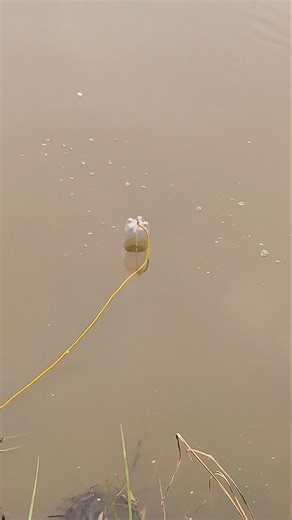 Wow! Smart Tool to Get Water from High Places