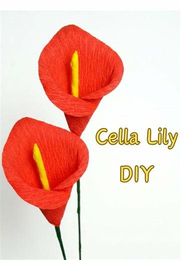 Scroll-stopping Crepe Paper Calla Lily DIY Make a super realistic Calla Lily that looks so beautiful with smooth shaping and a clean wrap, perfect for bouquets, room decor, gifts, weddings, and party setups, and it pops in bold colors like red. Materials used Crepe paper Red: 12 × 14 cm Green: 5 × 15 cm Glue Tissue paper Green and yellow floral tape Floral stem wire #paperflowers #crepepaper #diycrafts #crafttok #handmadeflowers