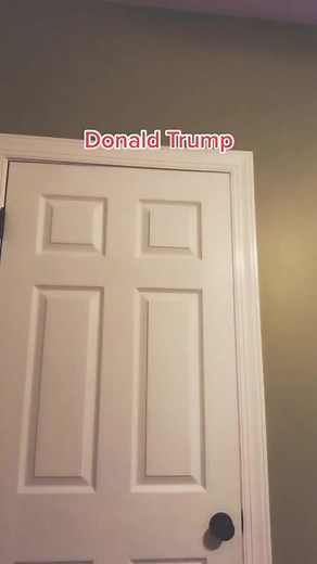 Thanksgiving Fun with Talon, Goofy, and Donald Duck