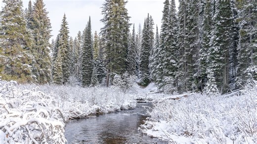 February 2026: How snowpack totals are looking