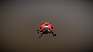 Ladybug with animated walk cycle only - Download Free 3D model by SundarVelayudham