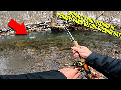 STOCKED TROUT FISHING IN PENNSYLVANIA BEFORE OPENING DAY!