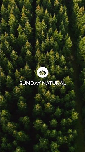 🍃 Sunday is a day of rest
