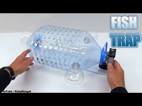 DIY : How to Make a Fish Trap with Plastic Bottle - Smart Ideas