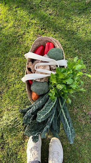 Bob Dickinson • Wholesome food • Recipes & Inspiration on Instagram: "The simplest dishes can make your day. . . . . . #wholefoodrecipes #wholesomefood #cookingfromscratch #recipeinspo #wholefoodie"