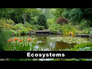 Ecosystems
