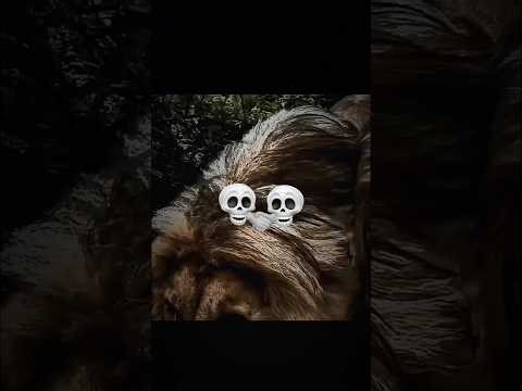 👀🦁🥶🤫 #trollface #trolledit #trollfaceedit #troll #edit #viral