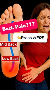 10K views · 36 reactions |  Did you know your spine is mapped on...