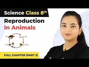 Class 8 Science Chapter 9 | Reproduction In Animals Full Chapter Explanation (Part 3)