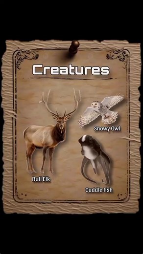 Check the Bull Elk size 😱😱😱#foryoupage #mythcialcreature #foryou #worldrecord🌎