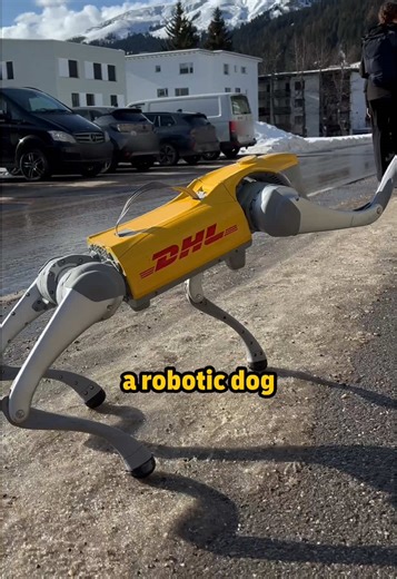 What happens when DHL talent, hot tea and a robotic dog show up in Davos? ❄️🤖☕ Come along as our colleague Ann-Kathrin shows how we mixed logistics, tech and a lot of teamwork at the World Economic Forum. Follow for more behind the scenes! 🎥 #DHL #WEF2026 #Davos #Innovation #Logistics