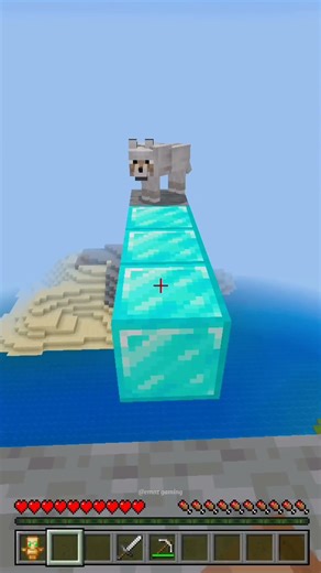 Always Help a dog in Need...🐕#minecraft #shorts