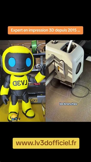 L'impression 3D imprime des lunnettes. #3d #lv3d #impression3d #imprimante3d