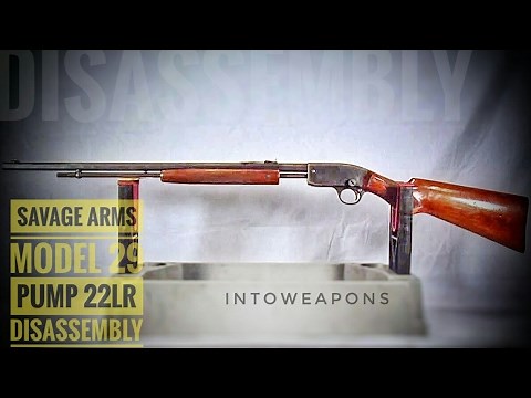 Savage Model 29 .22lr Pump Rifle: Review & Disassembly