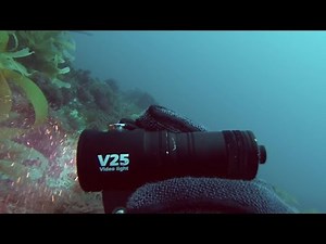 i-Torch V25 Fish-Lite 2800 lumens Video Torch for scuba diving sample footage - i-Dive by Intova