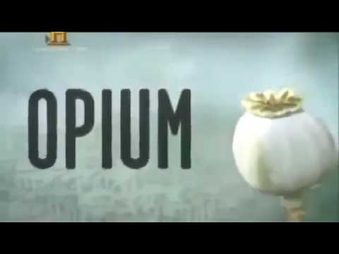 Historia de las Drogas HD Completo Documental History Channel, Audio Latino