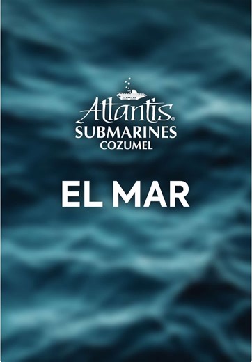 El #azul del #mar de #Cozumel, el escenario perfecto para la aventura a bordo del Atlantis XII 🌊🐠✨🪸 #vacaciones #experiencia #aventura #familia #mexico