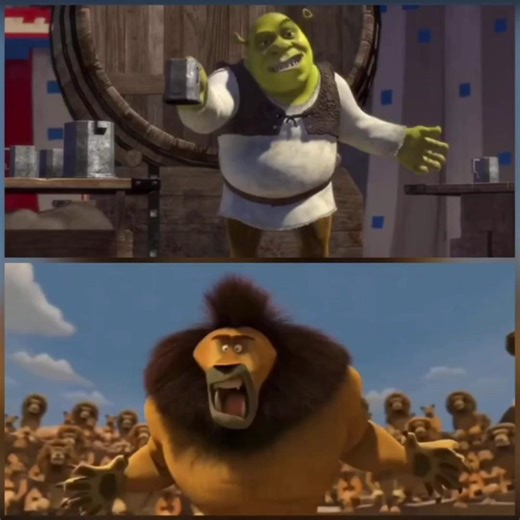 sherk vs teetsi