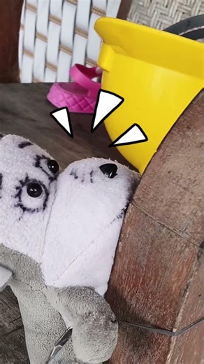 Si moyong sedang di ikat guys #shorts #trendingshorts