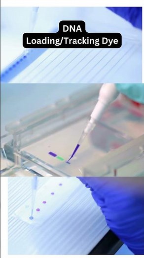 DNA Loading Dye or Tracking Dye #DNALoadingDye #GelElectrophoresis #DNAAnalysis