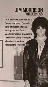 Beware of “shrill demented sparrows.” #JimMorrisonPoetry Photo by Gloria Stavers. | Jim Morrison