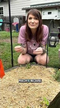 Mulching 101