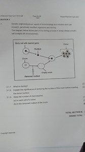 Solences Topic test 4 Gr12 QPPage 6 of 6NSCMopanitiveditocis... | Filo