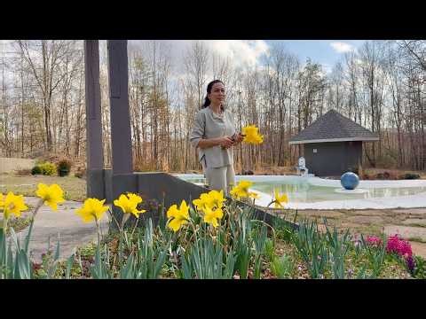 Building Our New Coop | OSCAL Solar Generator PowerMax 1800 SE | Heghineh