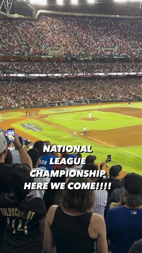 The Arizona Diamondbacks are going to the NLCS 🐍⚾️ | KNIX Country 102.5