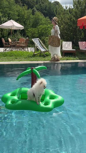 @portokhlebi • ფორთოხლები 😁ფუმფუკო ფორთოხლებში