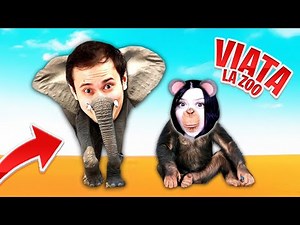 VIATA la ZOO! Suntem ANIMALE? 24 Ore