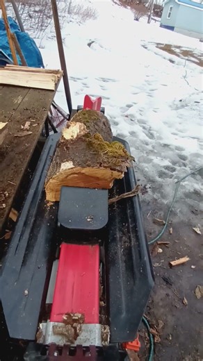 HARBOR FREIGHT 5TON ELECTRIC LOG SPLITTER #diy #firewood #logsplitter #tools #harborfrieght #wood