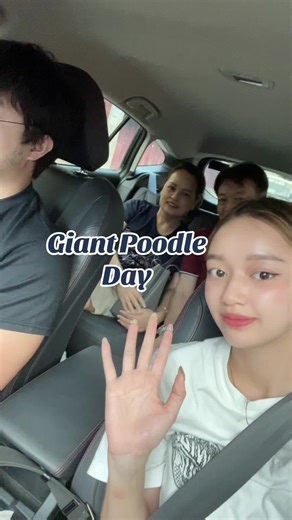 Introducing the Adorable Giant Poodle | Pet Lover's Delight