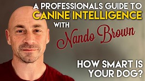 21K views · 1.2K reactions | These are the FIVE most common mistakes we see from handler & dog nose work teams. Check out the FREE, full length webinar for more tips, tricks and practical exercises. Don’t forget to listen closely for a secret gift your dog is going to love you for. Click LEARN MORE to register for the free webinar. | The School of Canine Science | Facebook