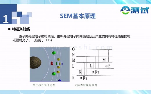 【SEM】基本原理介绍||实验|科研|干货