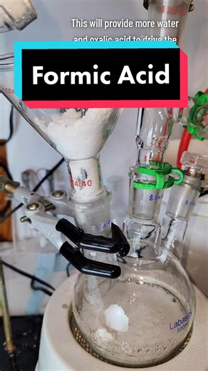 Formic Acid Synthesis #chemistry #science #acid #reaction #glass #distill #synth #react #ant #bug #formate
