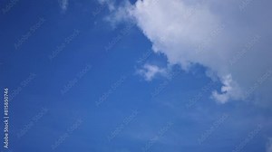 Birds flying in the blue sky. Flock Birds fly in the morning sky. Nature sky landscape with birds.
